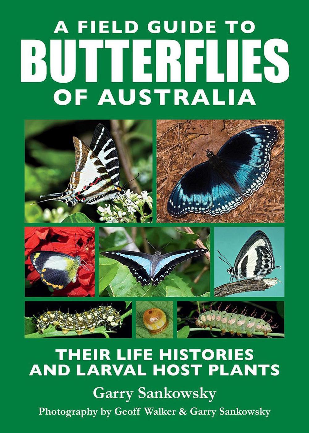 A Field Guide to Butterflies of Australia, 9781760796884