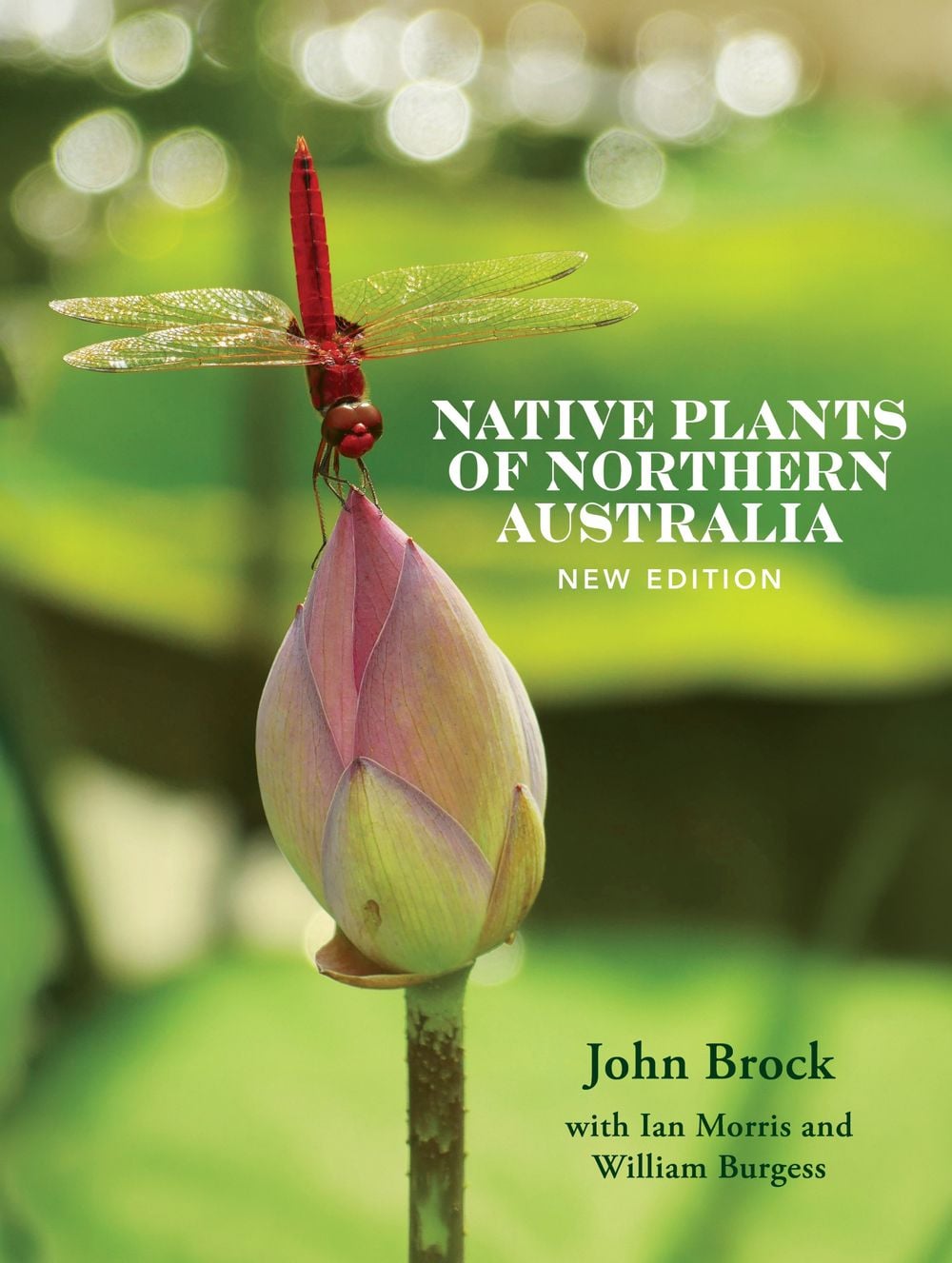 Native Plants of Northern Australia by John Brock Morris - ISBN: 9781760796945