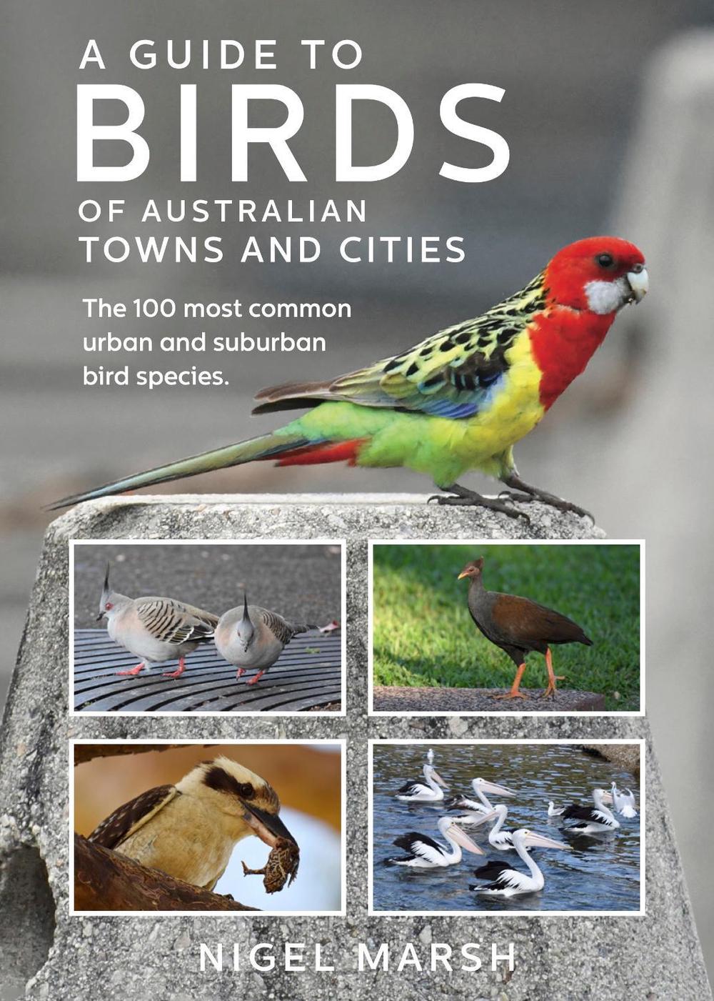 A Guide to Birds of Australian Towns and Cities, 9781760796969