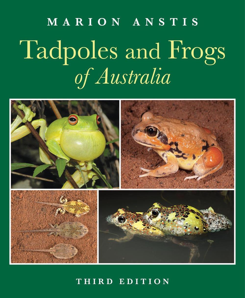 Tadpoles and Frogs of Australia, 9781760797041