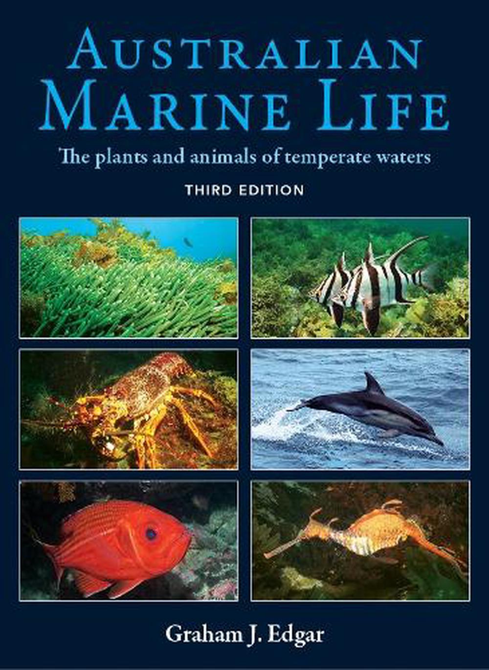 Australian Marine LIfe, 9781760797065