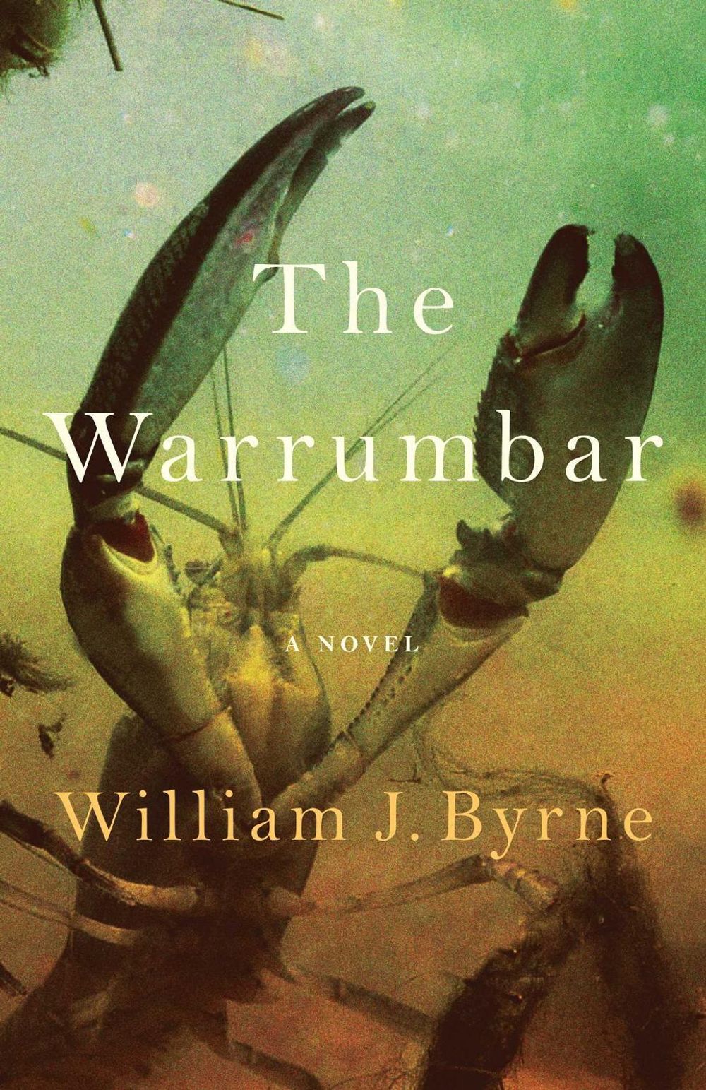 The Warrumbar by William J. Byrne - ISBN: 9781760803117