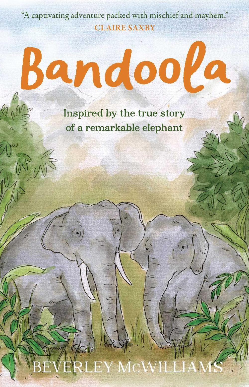 Bandoola by Beverley McWilliams - ISBN: 9781760803377