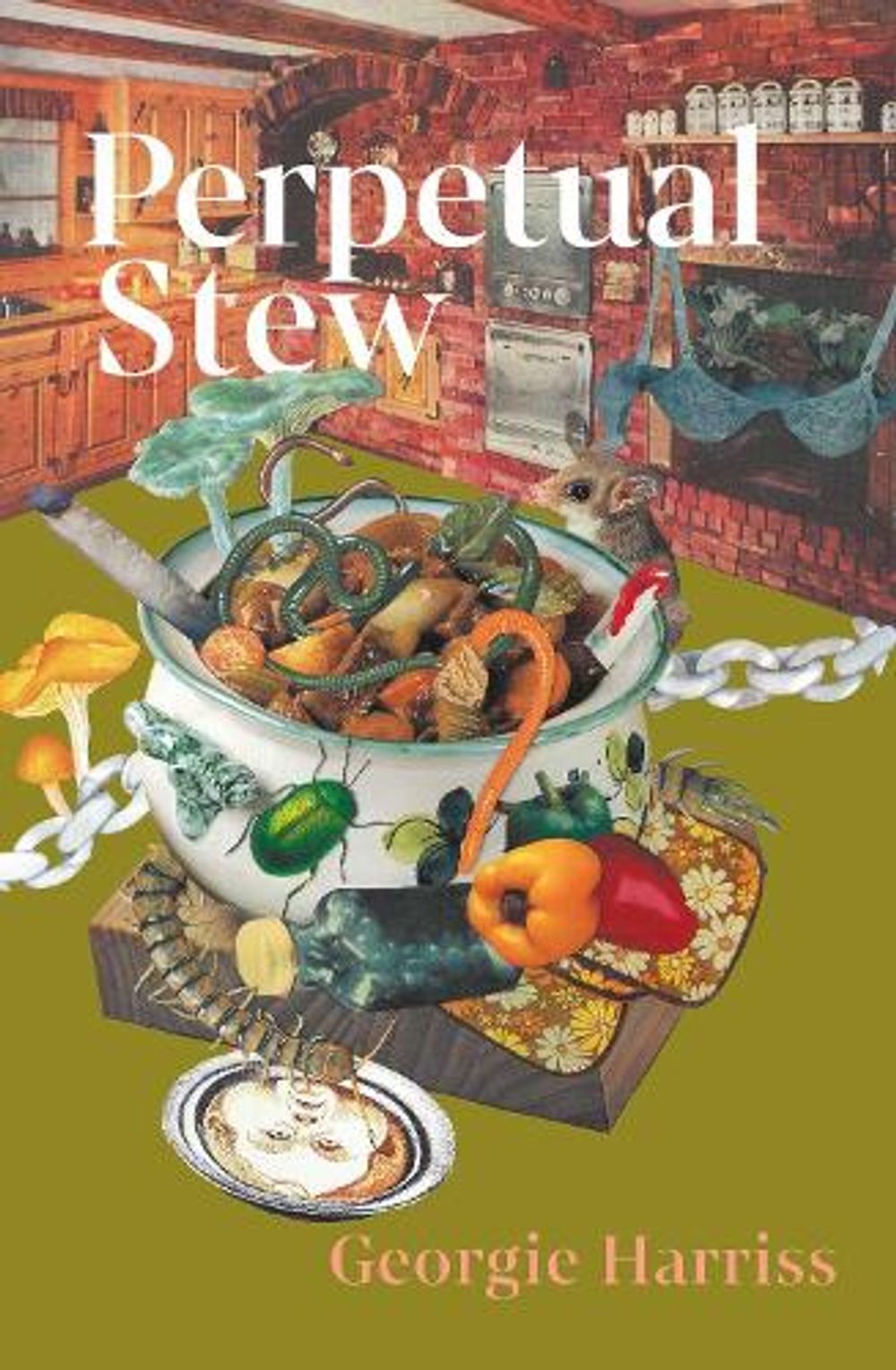 Perpetual Stew by Georgie Harriss - ISBN: 9781760803537