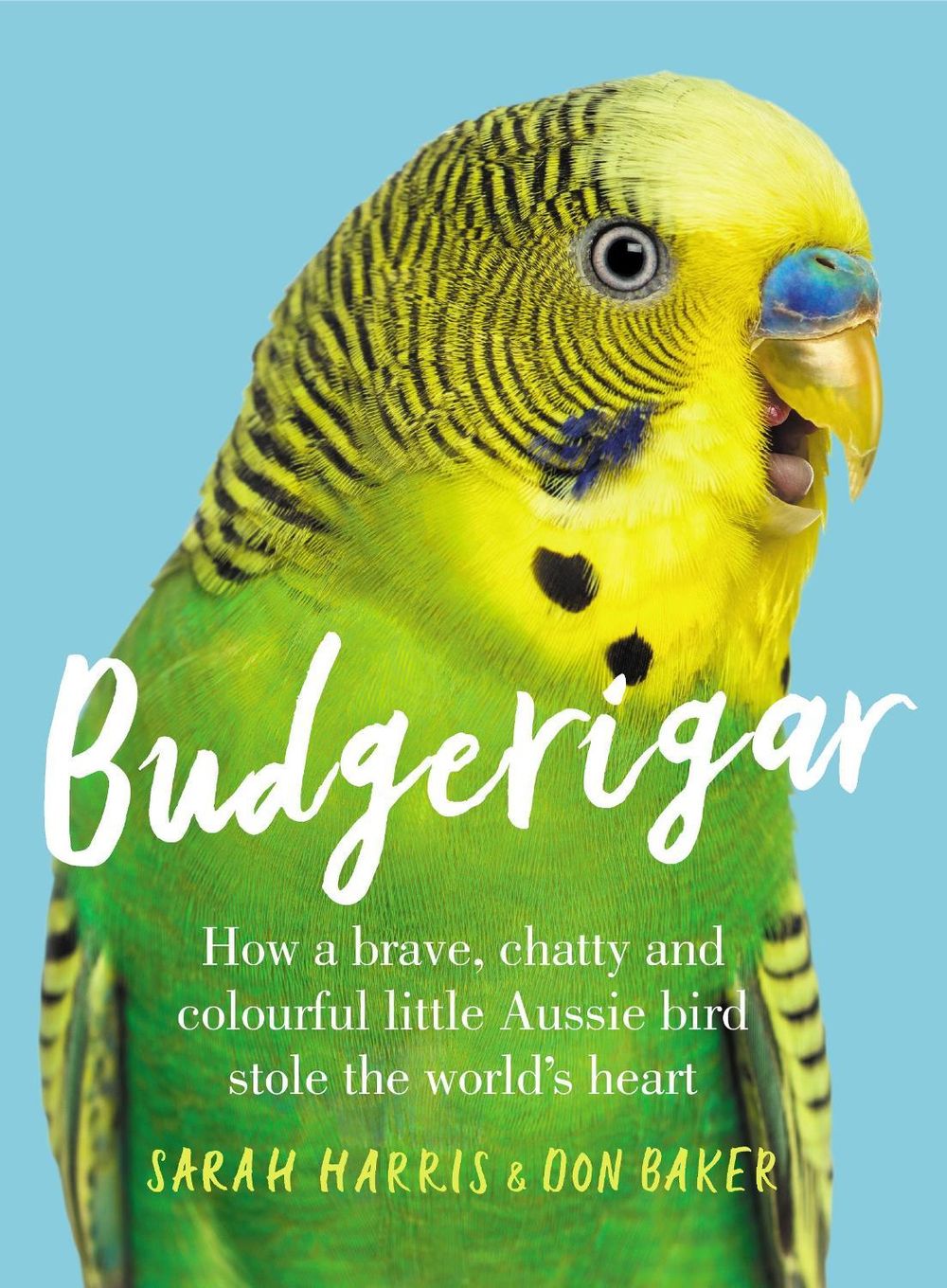Budgerigar by Sarah Harris - ISBN: 9781760875480