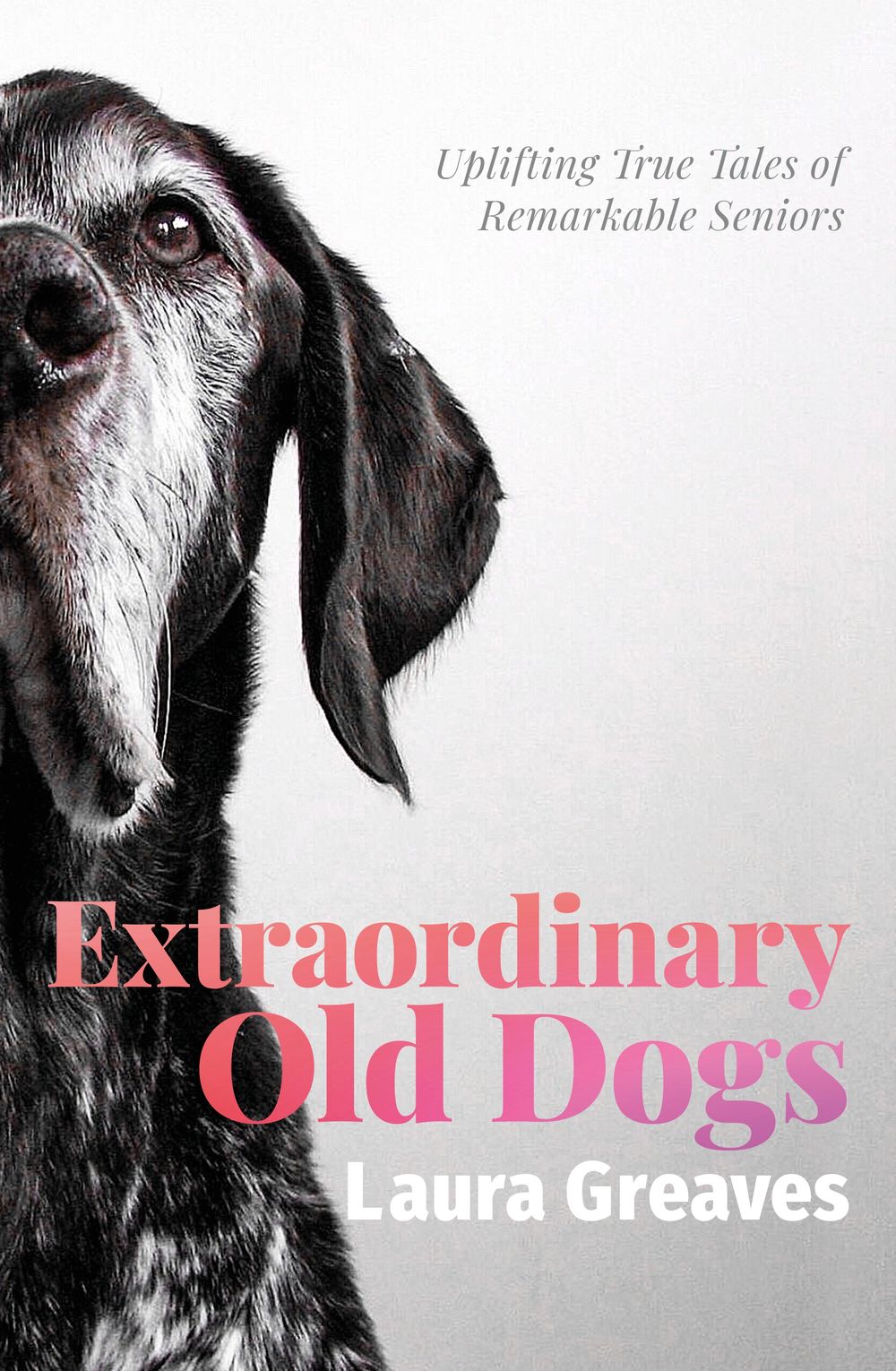 Extraordinary Old Dogs by Laura Greaves - ISBN: 9781760894771