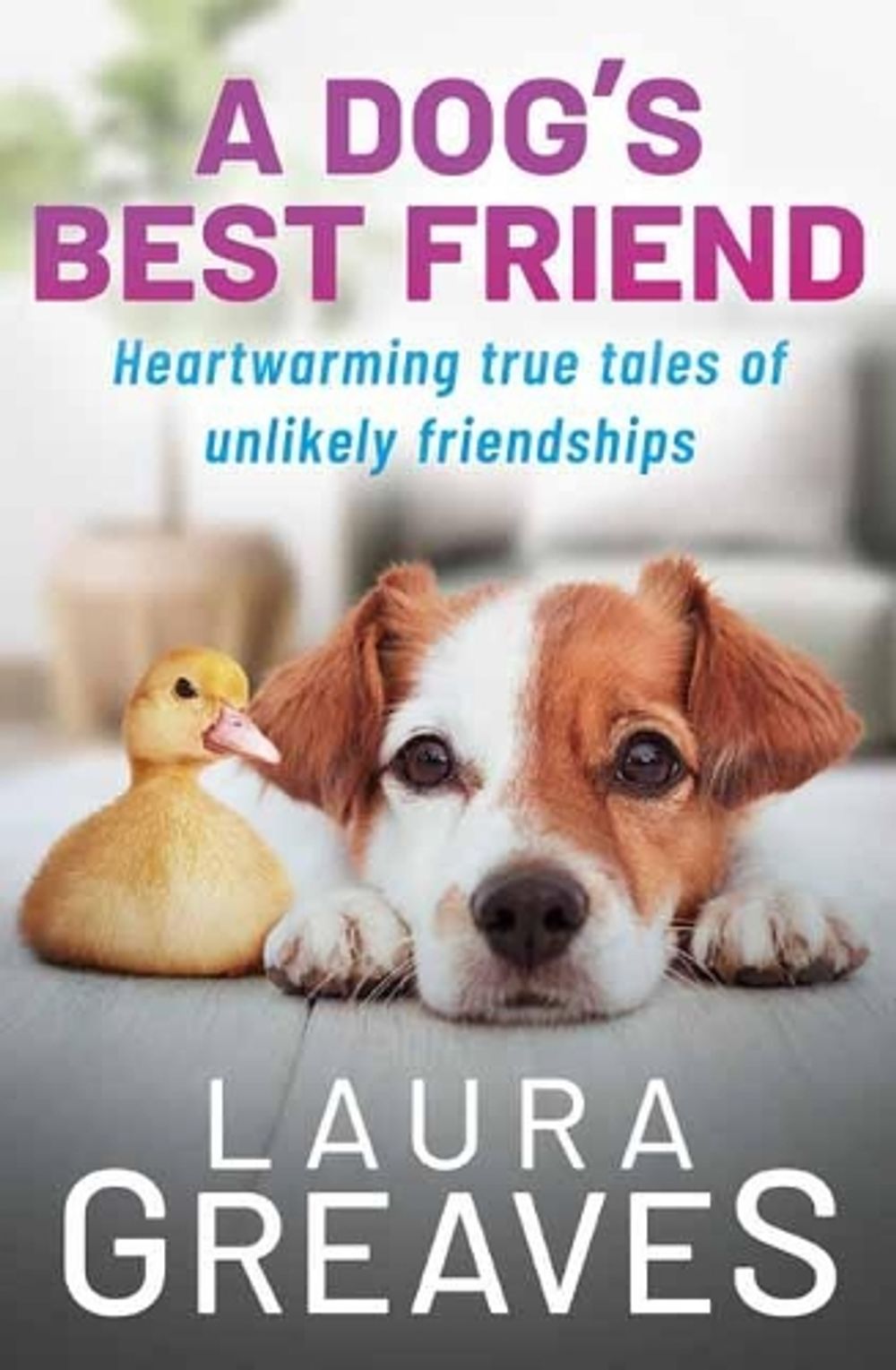 A Dog's Best Friend by Laura Greaves - ISBN: 9781761042522
