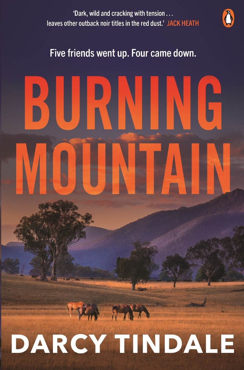Burning Mountain by Darcy Tindale - ISBN: 9781761049774