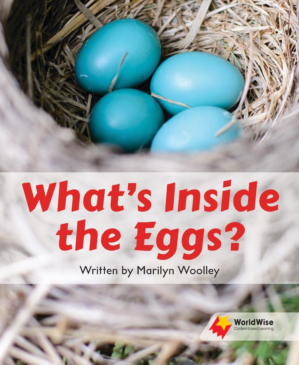 What's Inside the Eggs? by Woolley - ISBN: 9781761072277