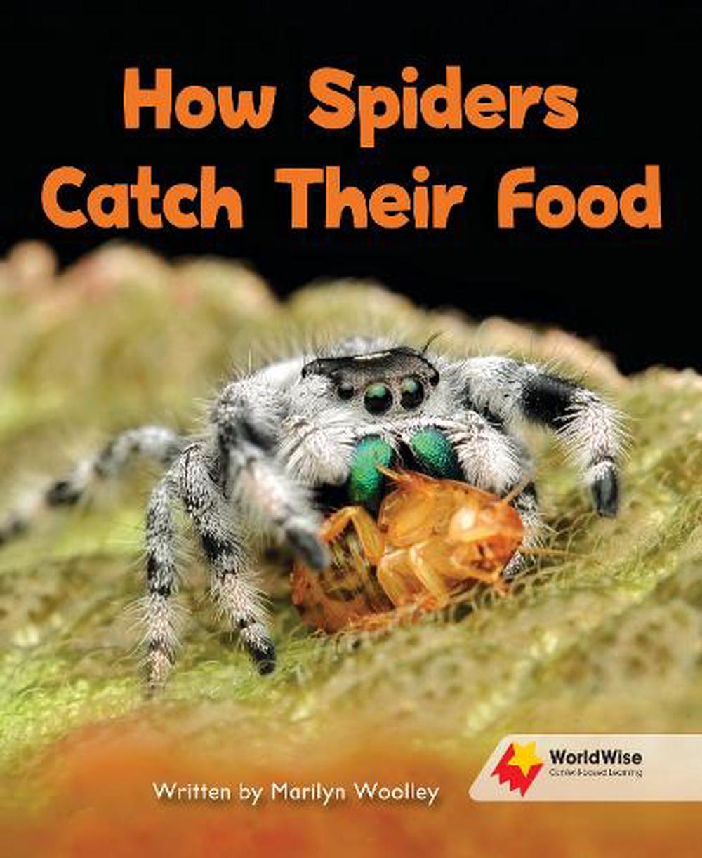 How Spiders Catch Their Food by Woolley, Paperback, 9781761072512 | Buy ...