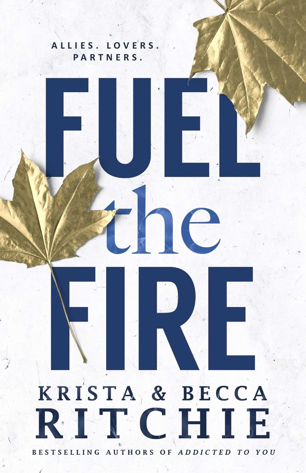 Fuel the Fire by Krista Ritchie - ISBN: 9781761108464