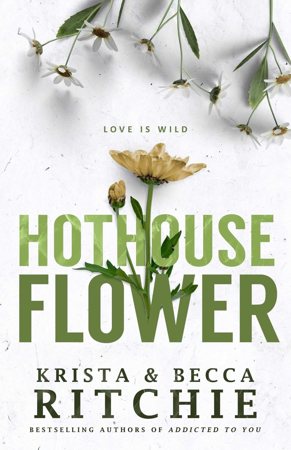 Hothouse Flower by Krista Ritchie - ISBN: 9781761108532