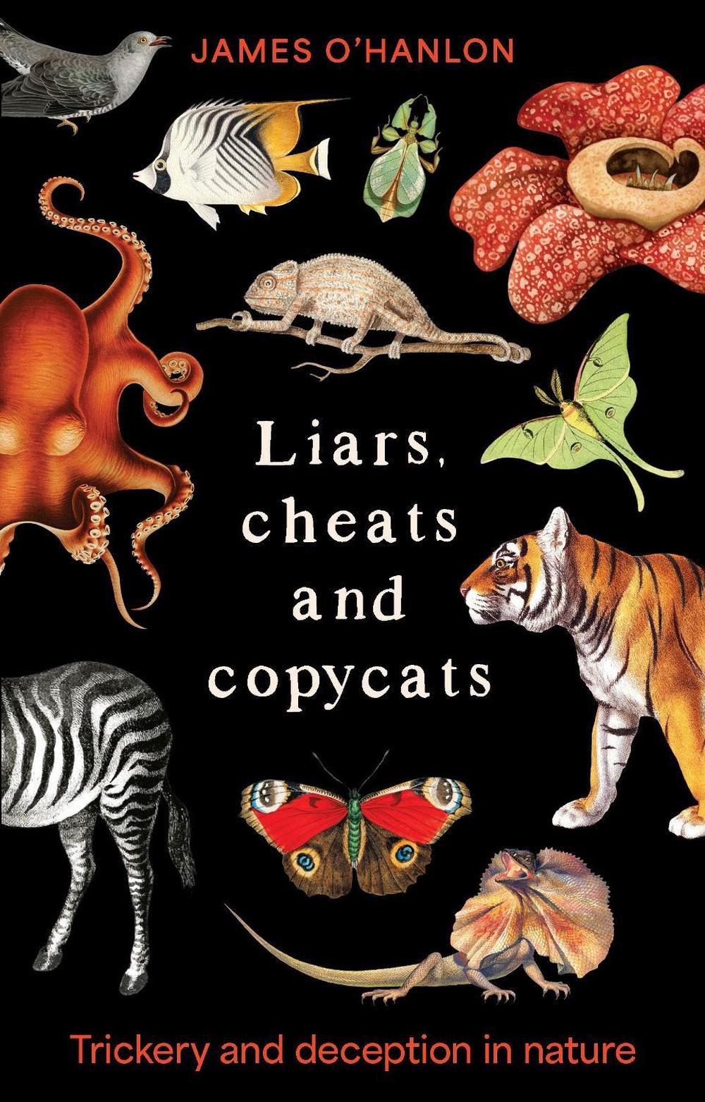 Liars, cheats and copycats, 9781761170171