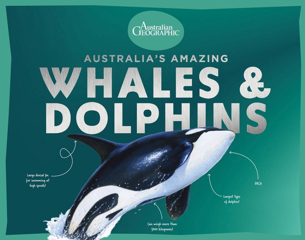Australia’s Amazing Whales and Dolphins, 9781761216572