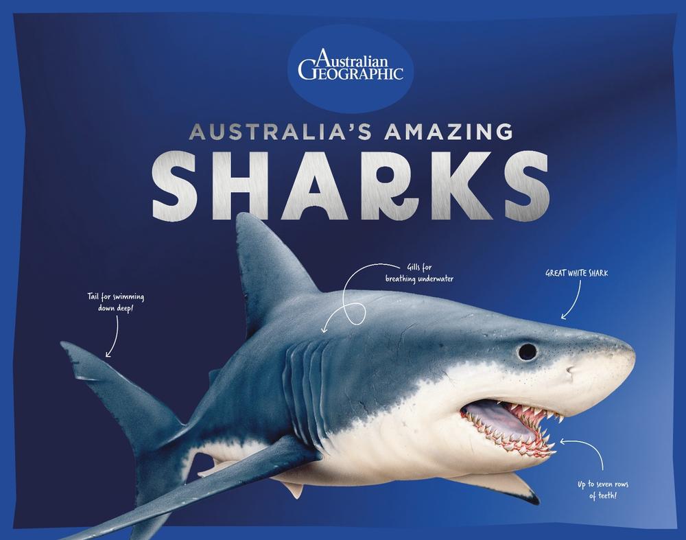 Australia’s Amazing Sharks, 9781761216589