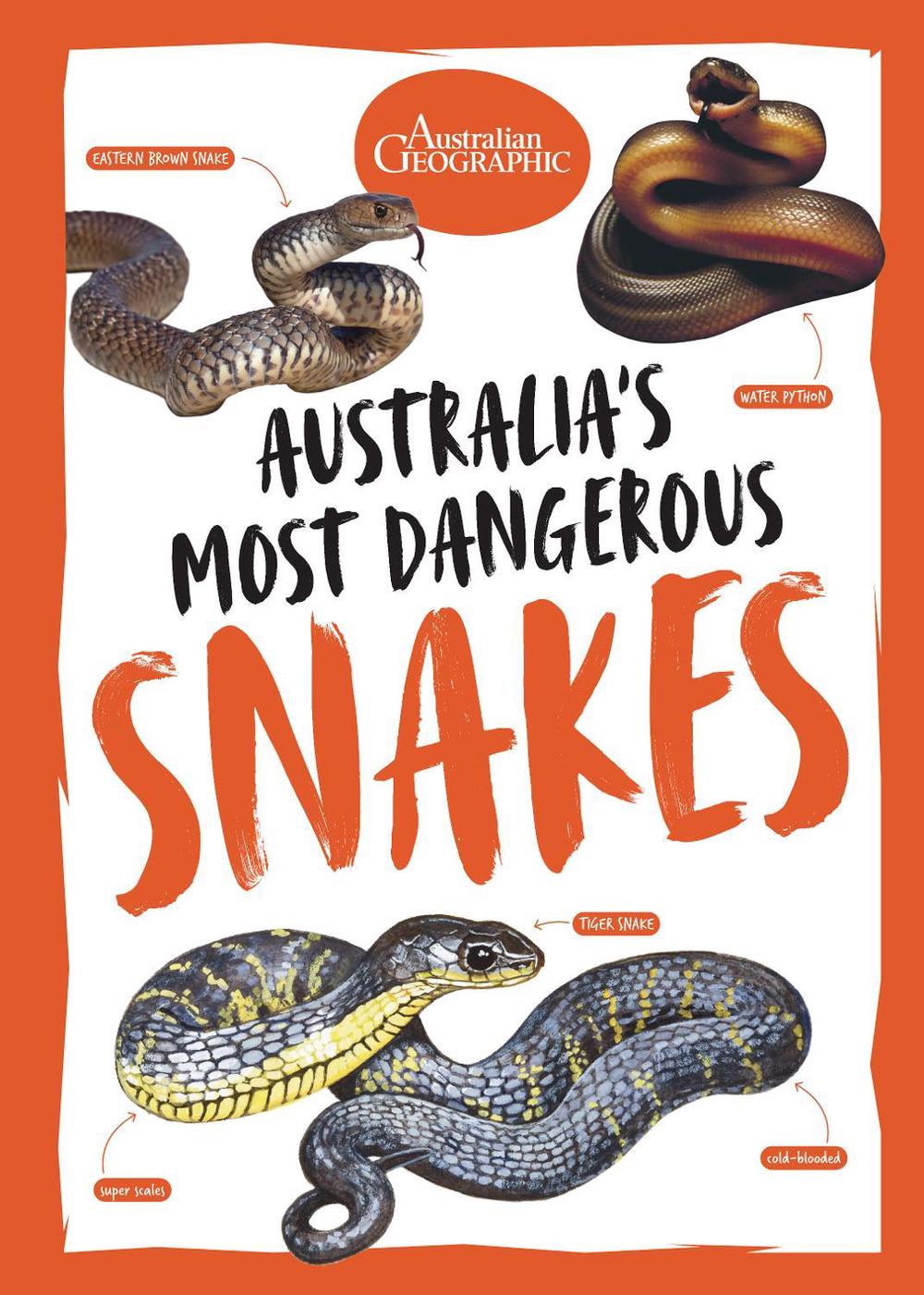 Australia's Most Dangerous Snakes, 9781761216619