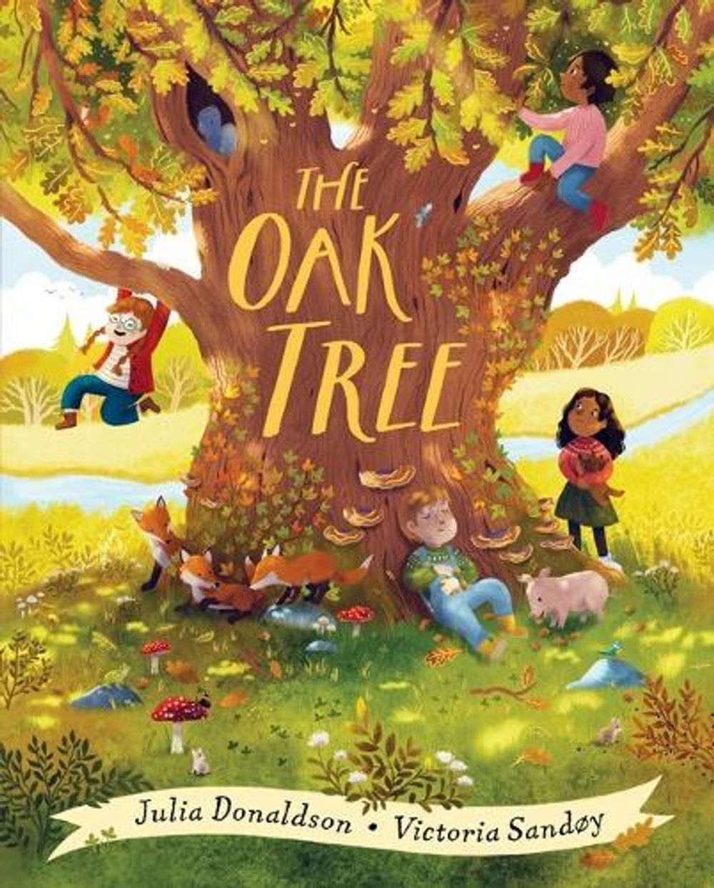 Oak Tree by Julia Donaldson - ISBN: 9781761294242