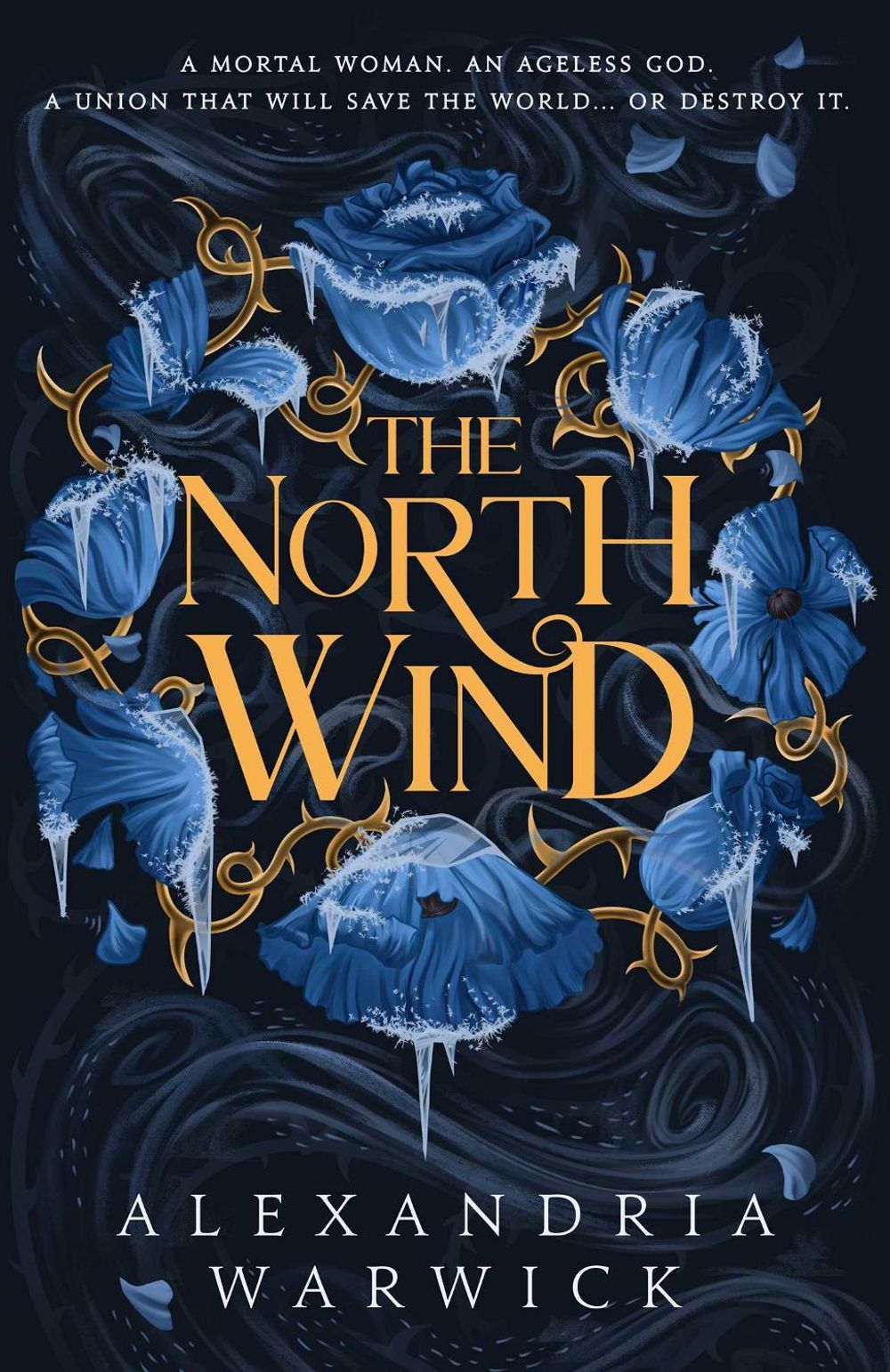 The North Wind by Alexandria Warwick - ISBN: 9781761426018
