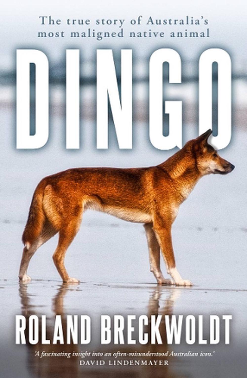 Dingo, 9781761471179