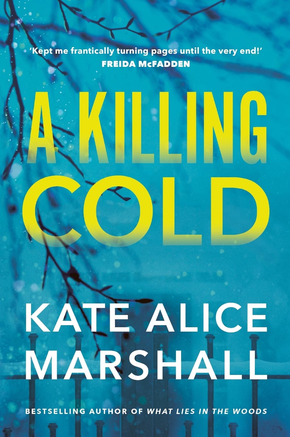 A Killing Cold by Kate Alice Marshall - ISBN: 9781761567759