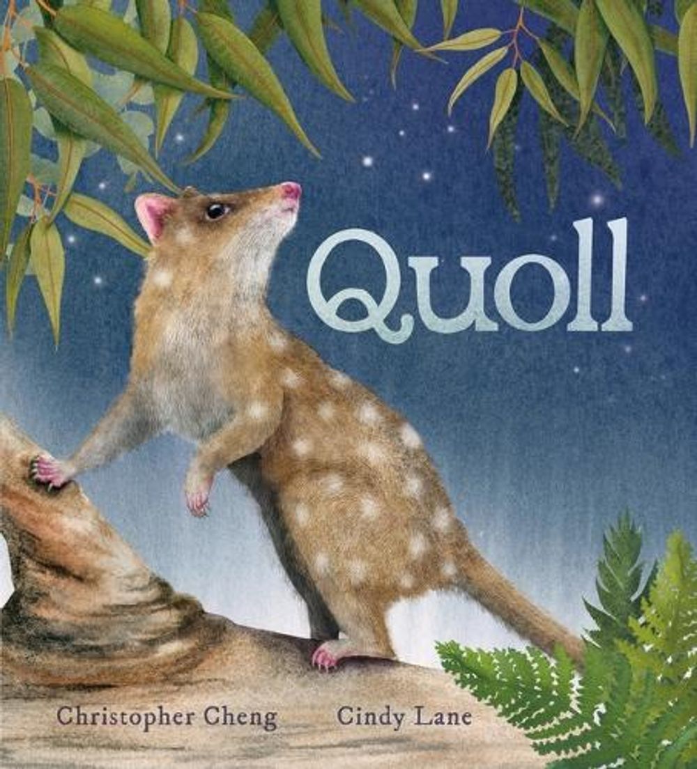 Quoll by Christopher Cheng - ISBN: 9781761603402