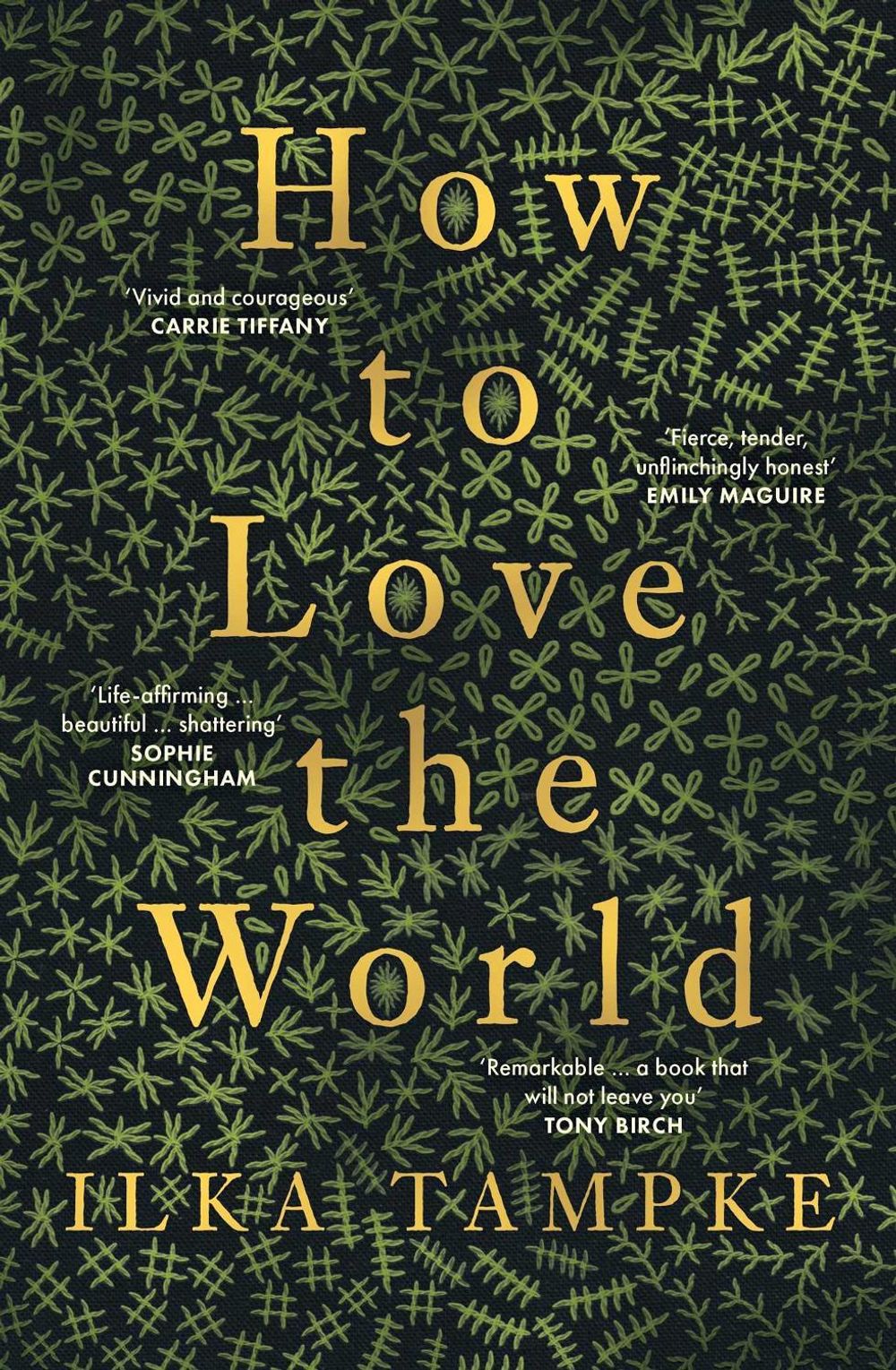 How to Love the World by Ilka Tampke - ISBN: 9781761635328