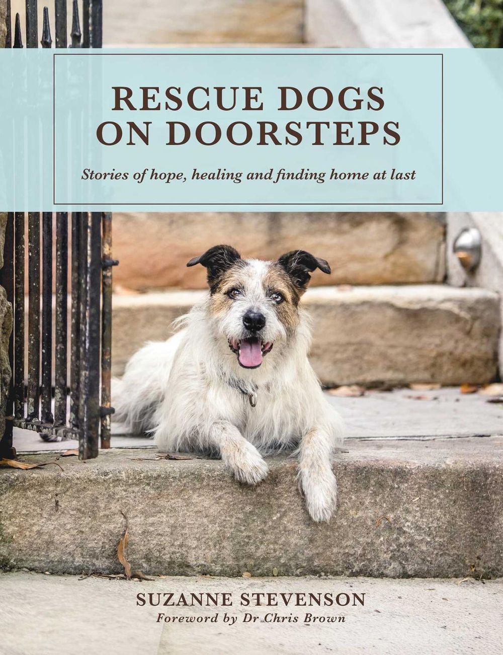 Rescue Dogs on Doorsteps by Suzanne Stevenson - ISBN: 9781761637056