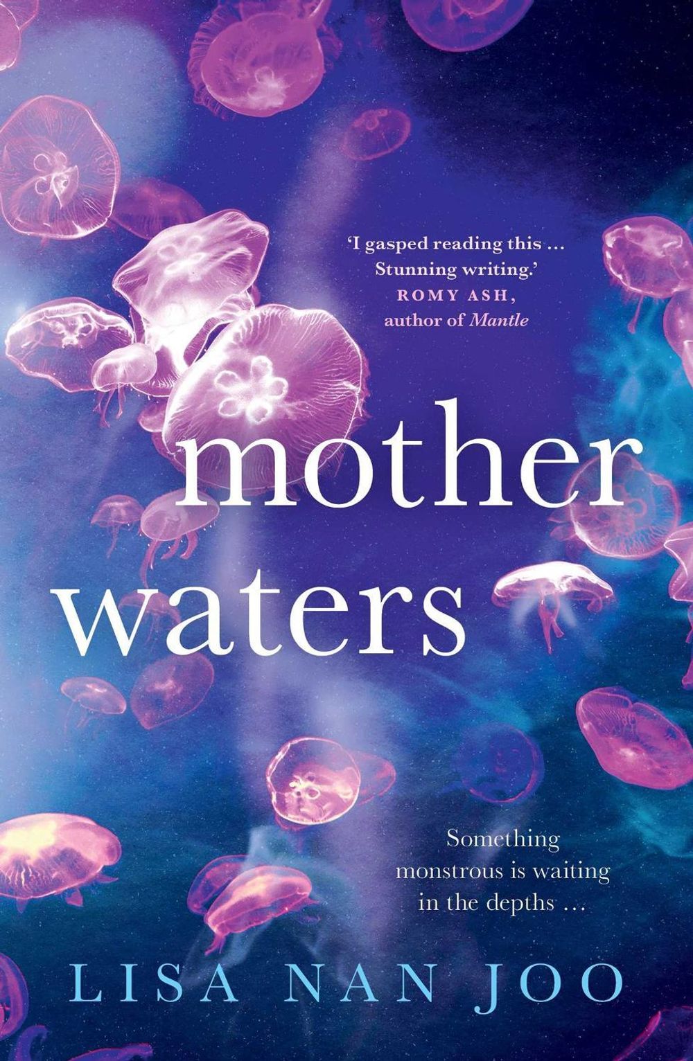 Mother Waters by Lisa Nan Joo - ISBN: 9781761638558
