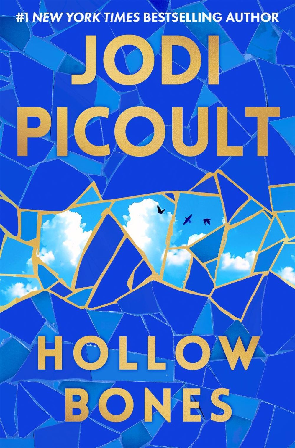 Hollow Bones by Jodi Picoult - ISBN: 9781761775642
