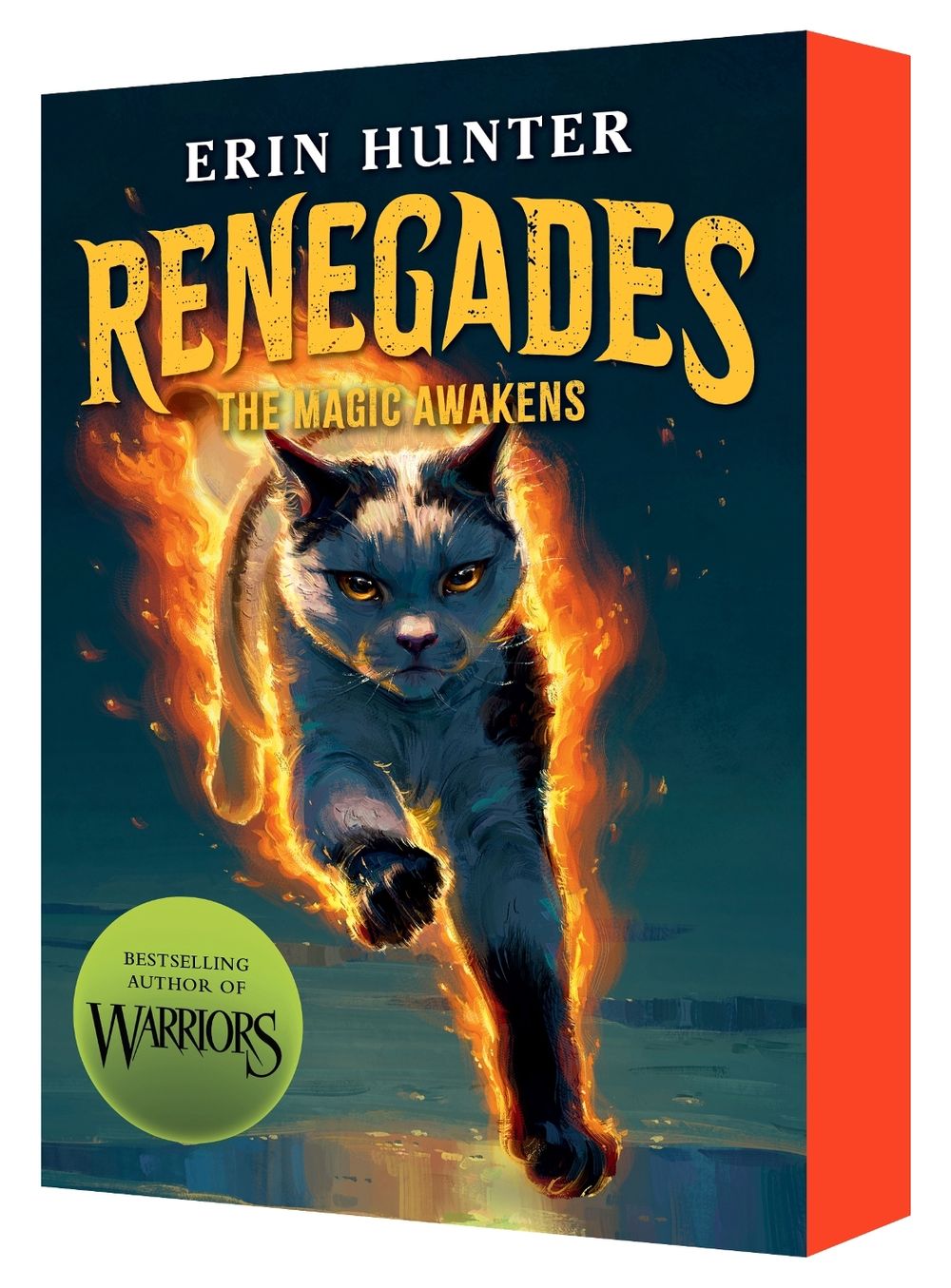 Magic Awakens (Renegades: Book One) by Erin Hunter - ISBN: 9781761812408