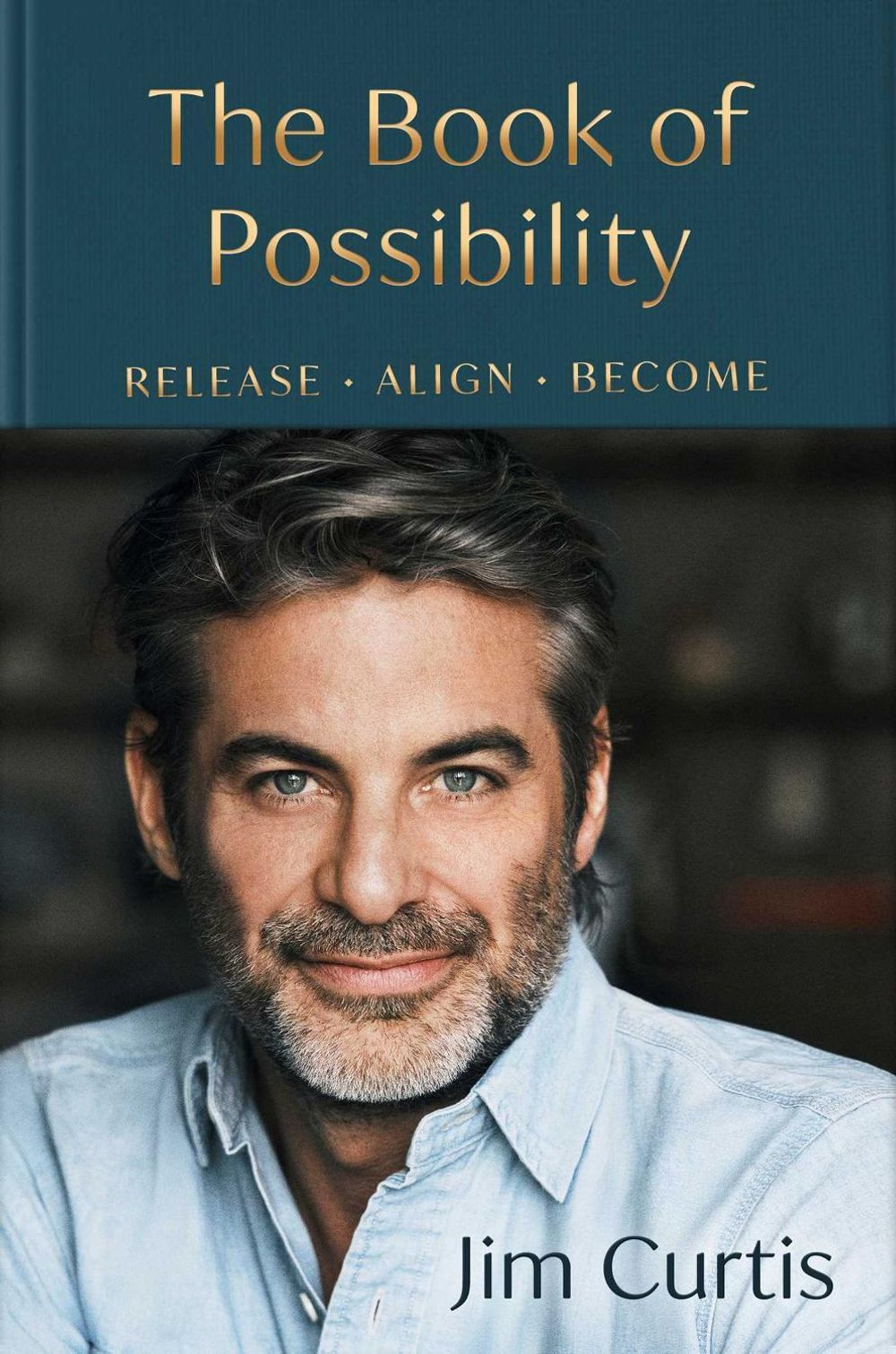 The Book of Possibility by Jim Curtis - ISBN: 9781761828874