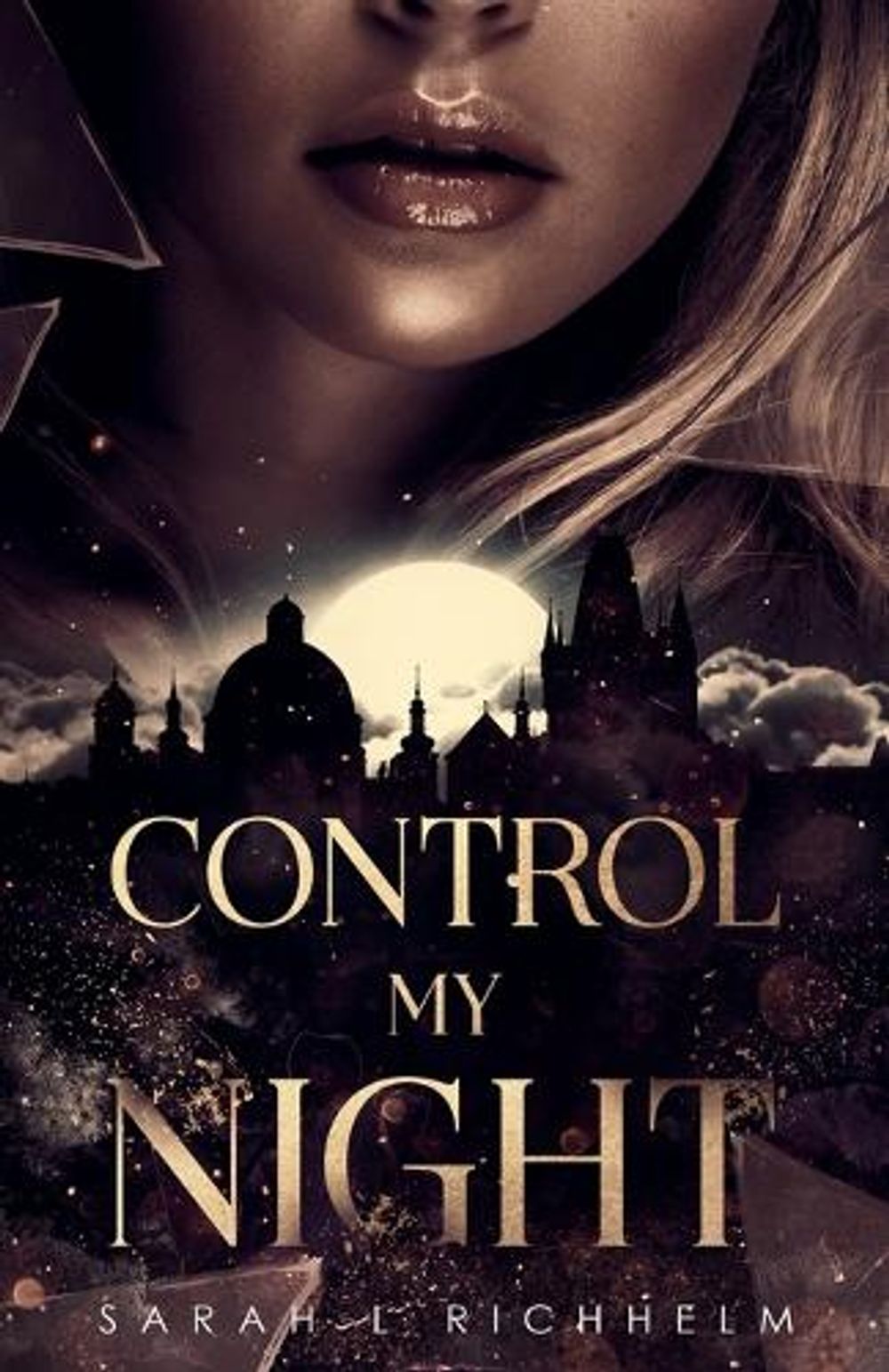 Control My Night by Sarah L. Richhelm - ISBN: 9781763519510