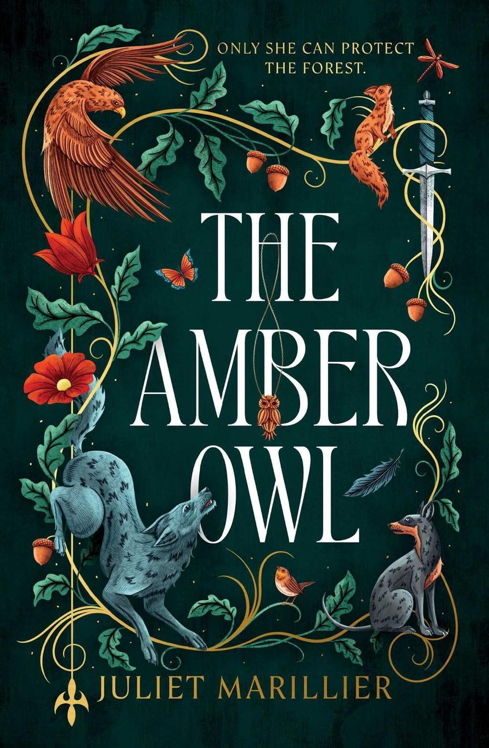 Amber Owl, 9781763662513