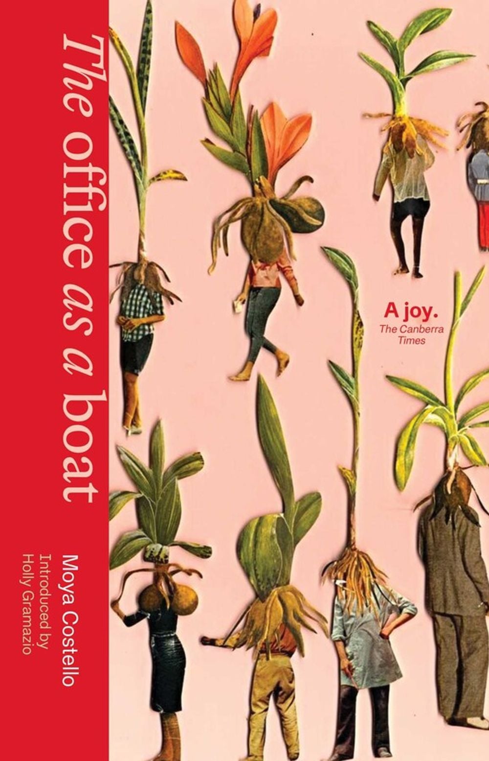 The Office as a Boat by Moya Costello - ISBN: 9781763847590