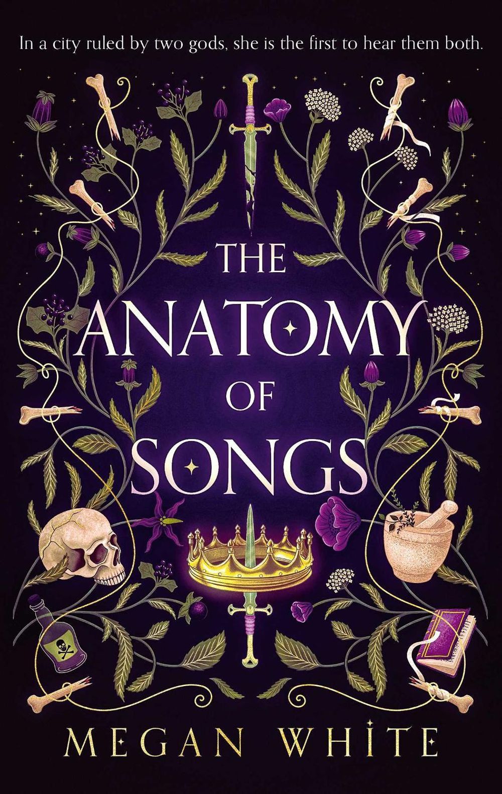 The Anatomy of Songs by Megan White - ISBN: 9781764066303