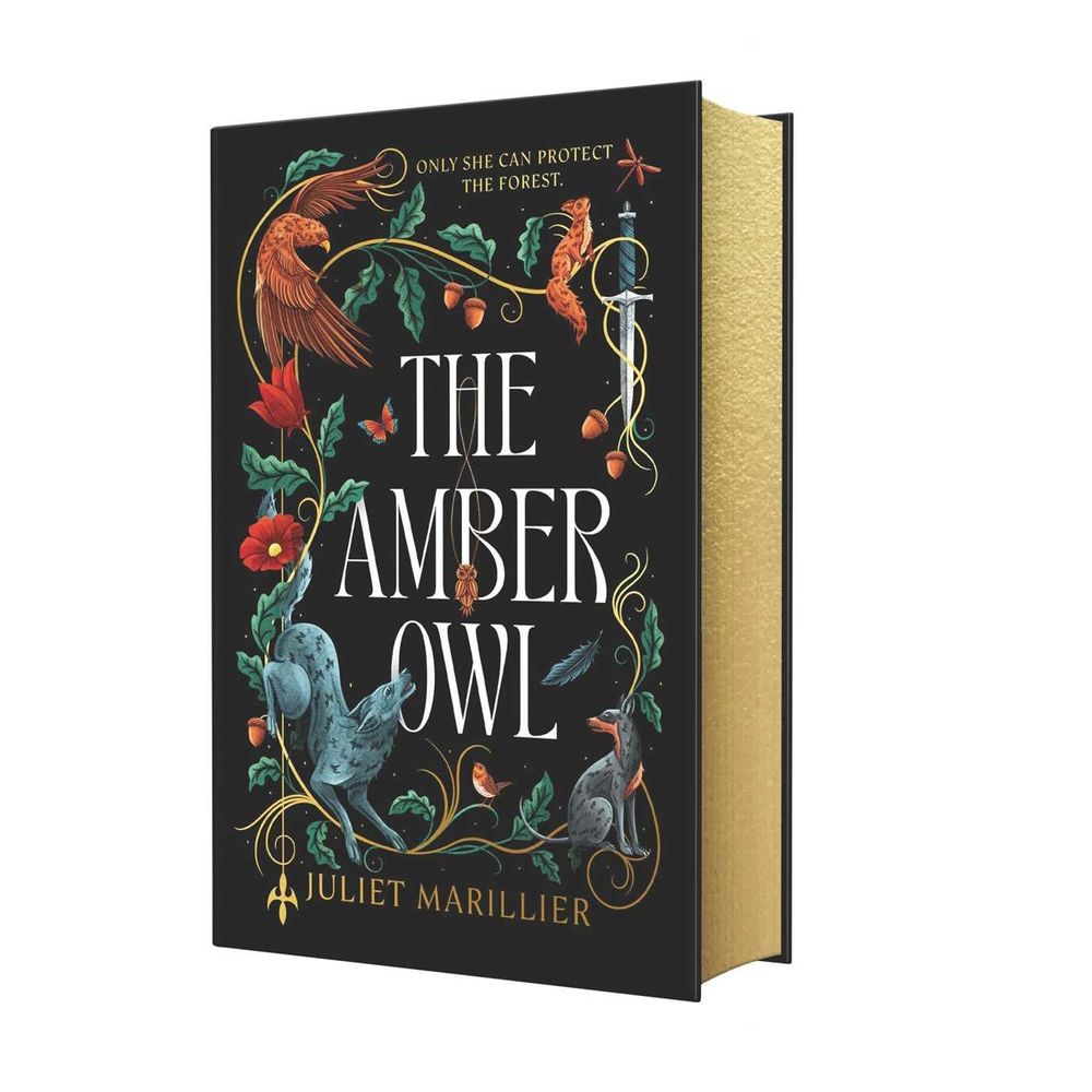 The Amber Owl by Juliet Marillier - ISBN: 9781764266376