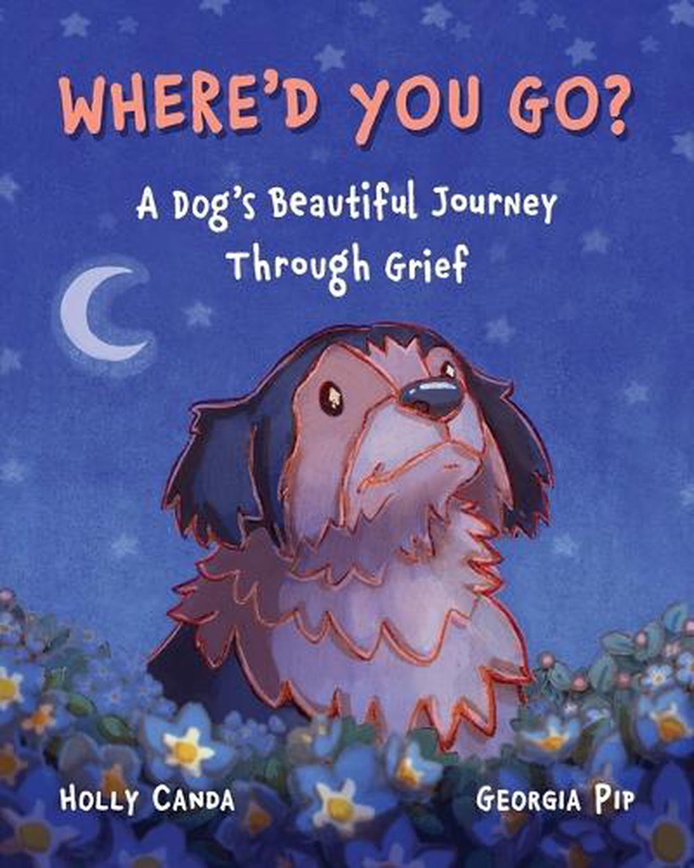 Where'd You Go? by Holly Canda - ISBN: 9781764274401