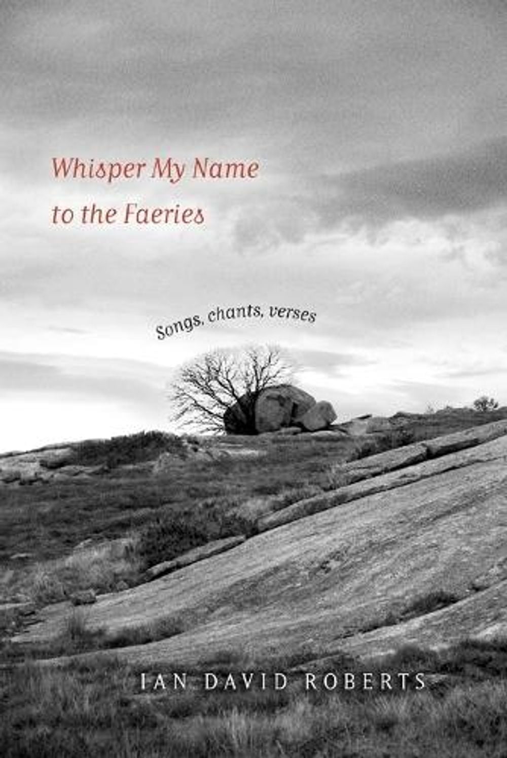 Whisper My Name to the Faeries by Ian David Roberts - ISBN: 9781764737500