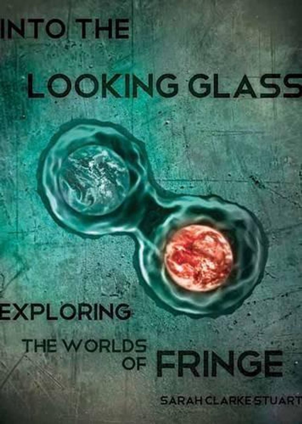 Into the Looking Glass by Sarah Clarke Stuart - ISBN: 9781770410510