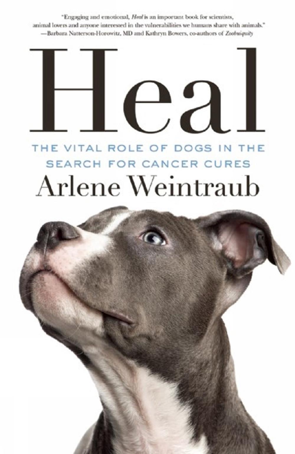 Heal by Arlene Weintraub - ISBN: 9781770412705