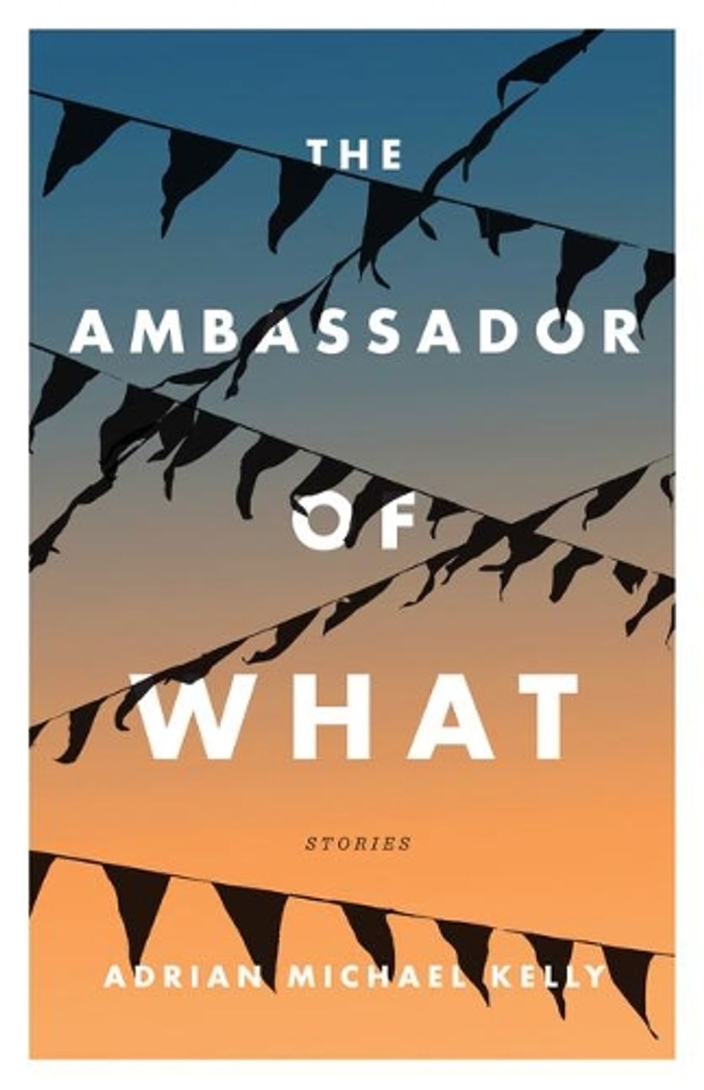 The Ambassador of What by Adrian Michael Kelly - ISBN: 9781770414174