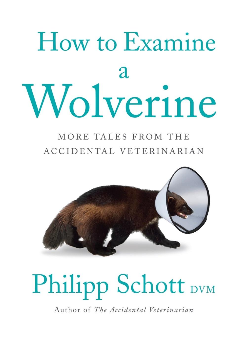 How to Examine a Wolverine by Philipp Schott - ISBN: 9781770415881