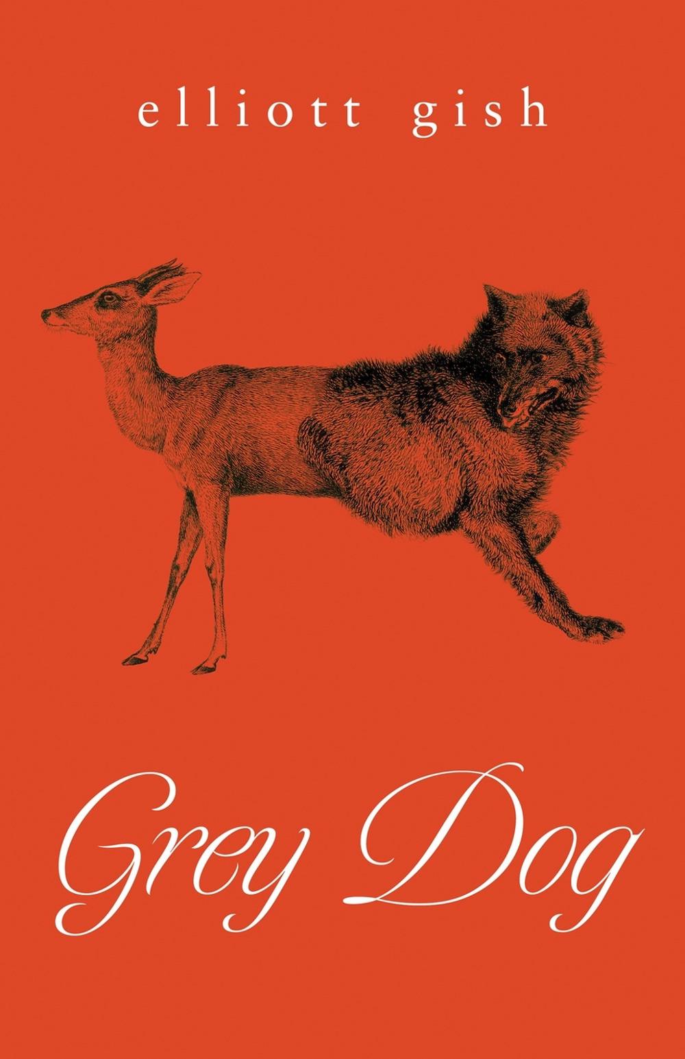 Grey Dog by Elliot Gish - ISBN: 9781770417328