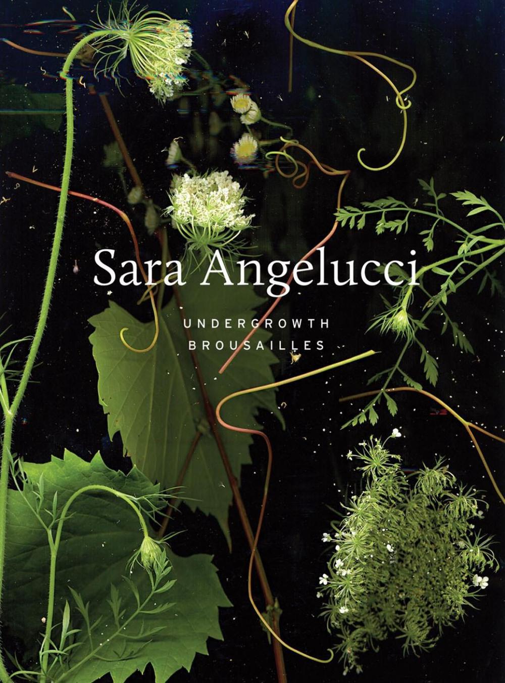 Sara Angelucci: Undergrowth / Brousailles by Shannon Anderson - ISBN: 9781770417403