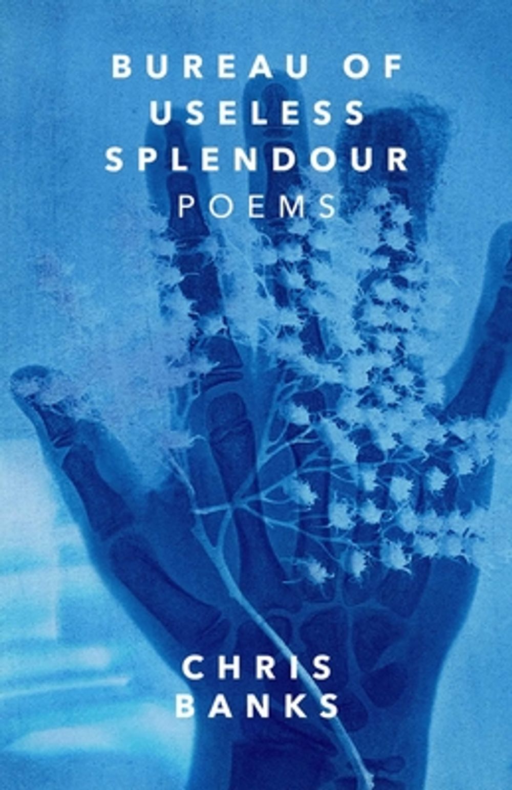 Bureau of Useless Splendour by Chris Banks - ISBN: 9781770417472