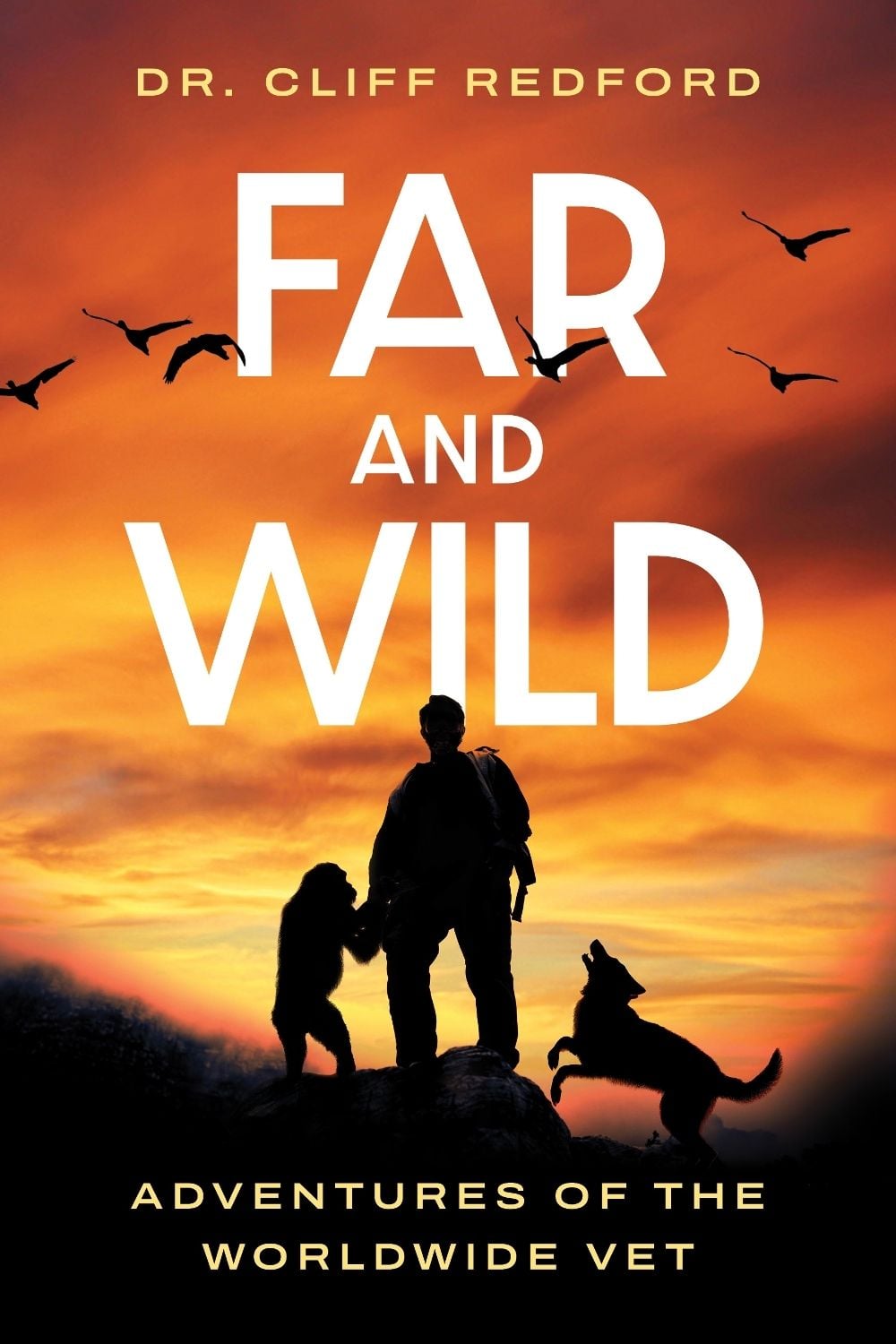 Far and Wild by Cliff Redford - ISBN: 9781770418752