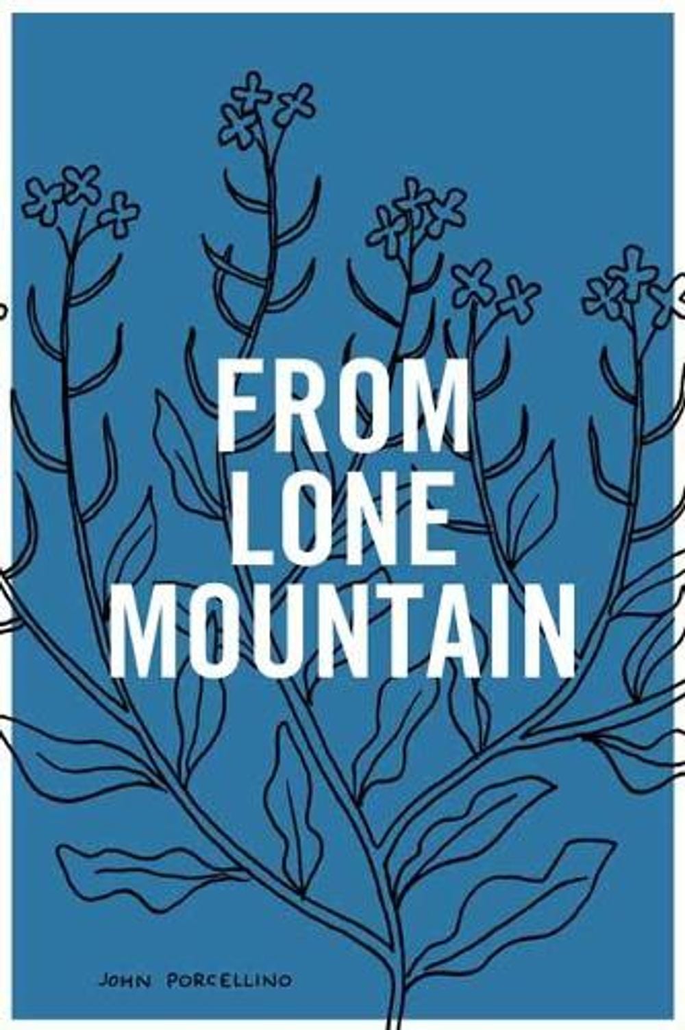 From Lone Mountain by John Porcellino - ISBN: 9781770462953