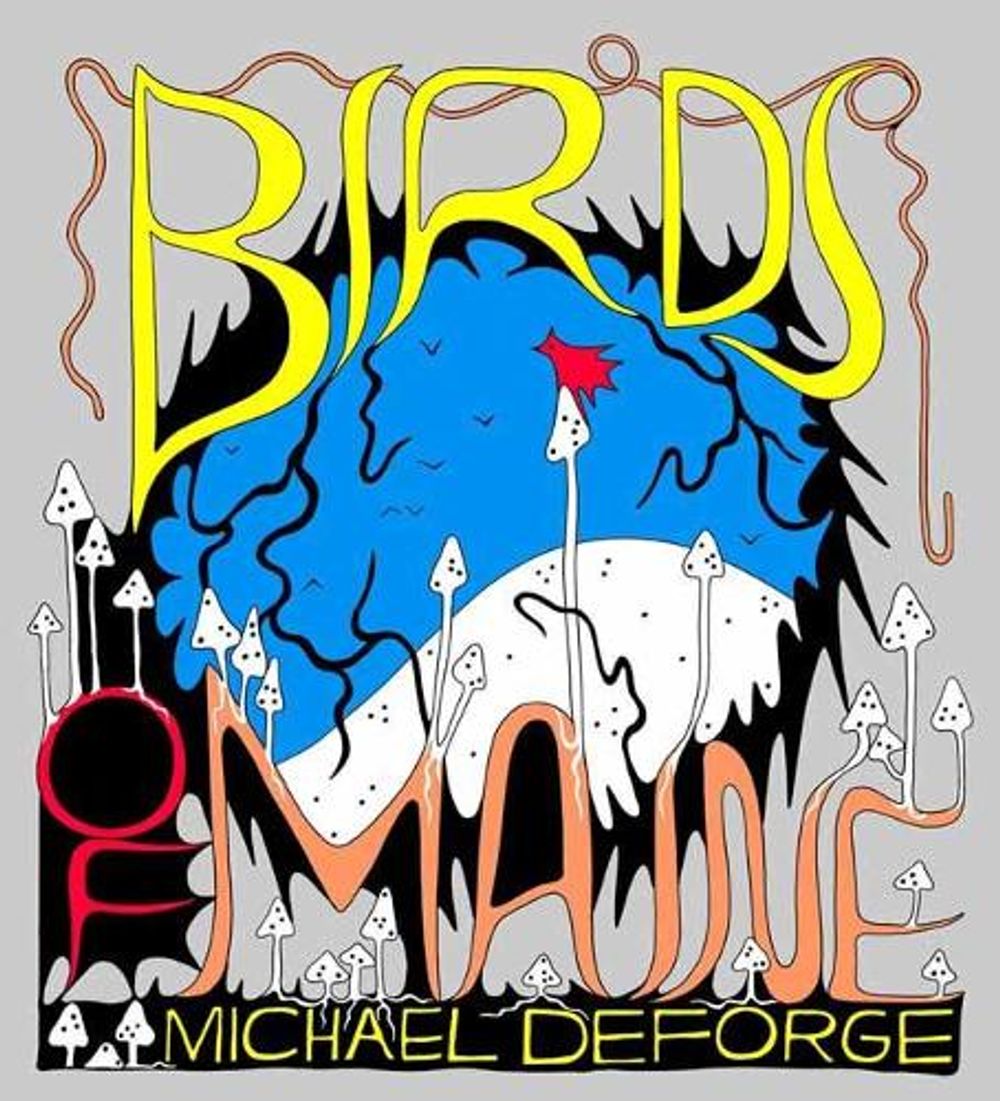 Birds of Maine by Michael DeForge - ISBN: 9781770465664