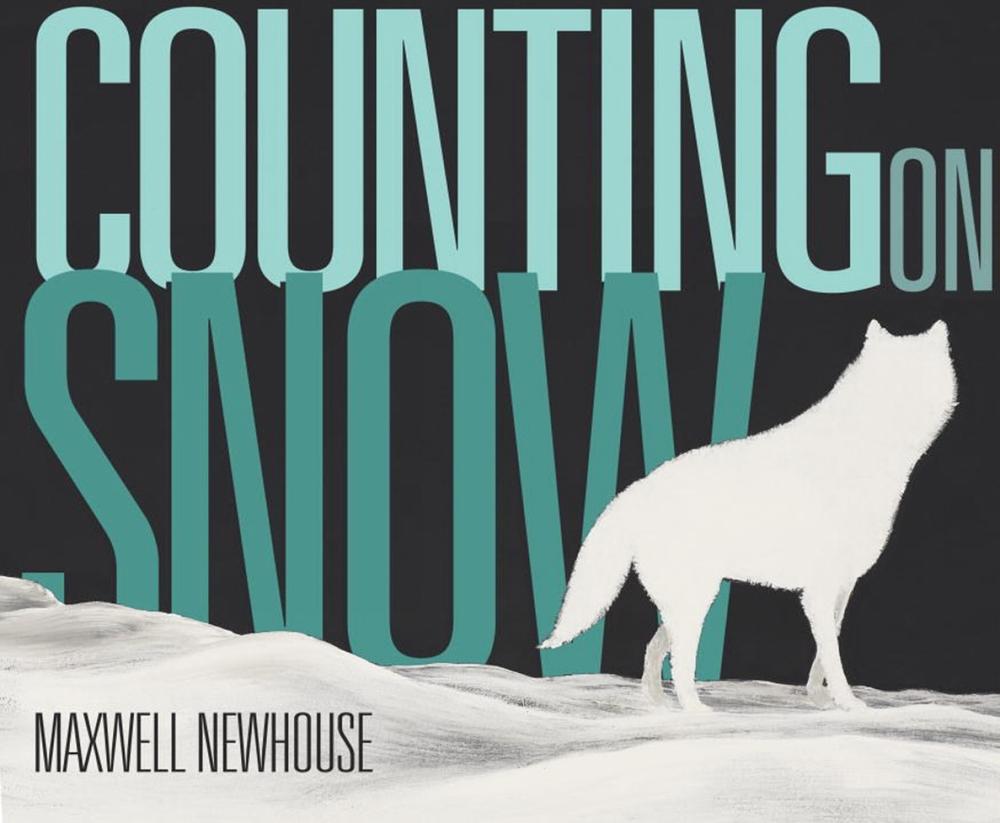 Counting on Snow by Maxwell Newhouse - ISBN: 9781770499928