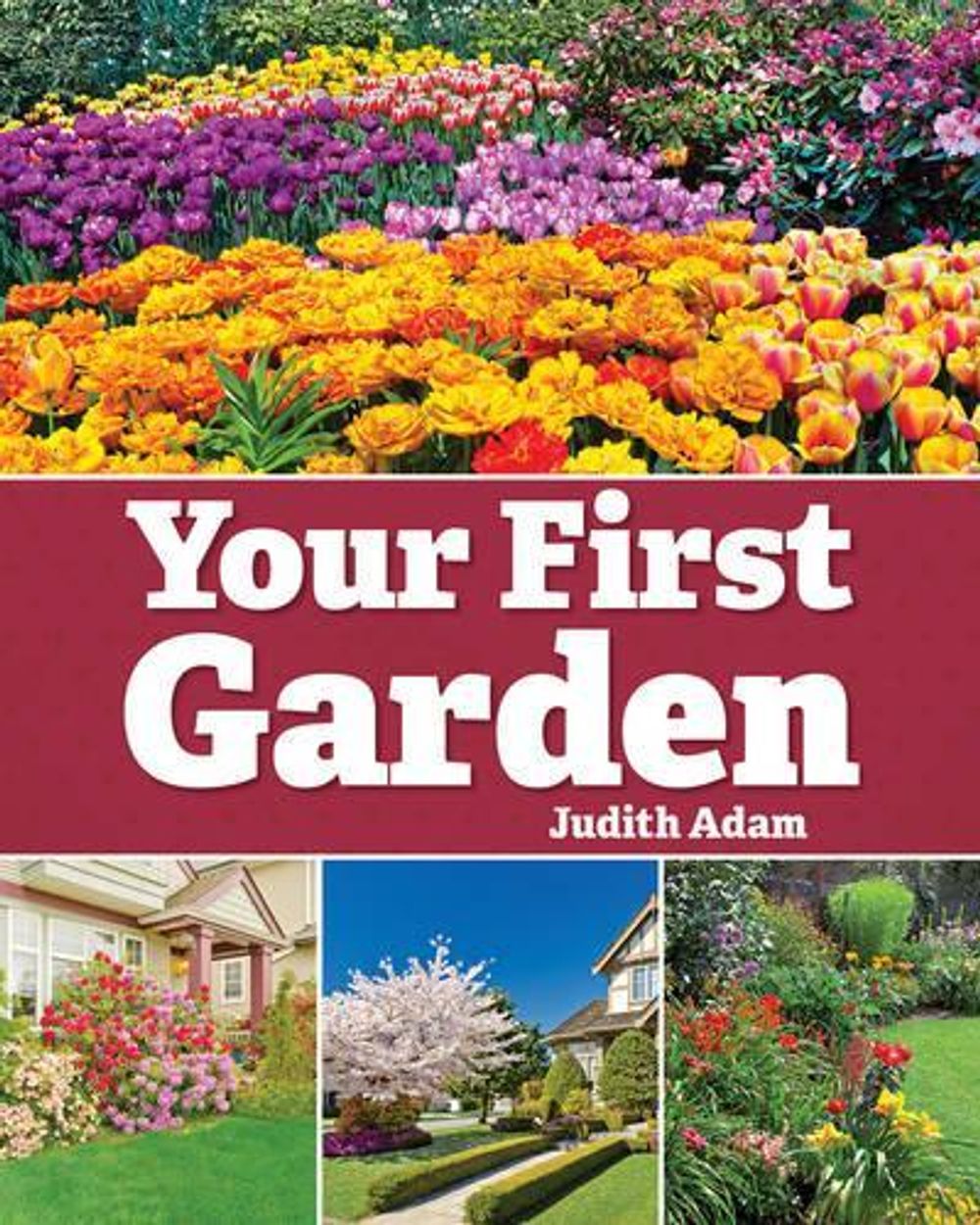 Your First Garden by Judith Adam - ISBN: 9781770857087